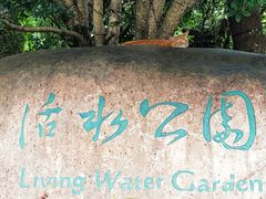 -活水公园