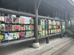 -白鹭湾湿地公园