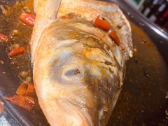 -销魂美蛙鱼头火锅(上海首店)