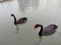 -南翠屏公园