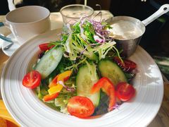 -Cafe Alice咖啡爱丽丝(奥城店)