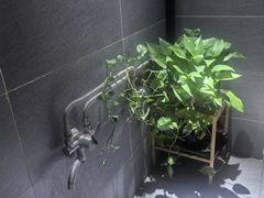 -北里·4k影院式足疗SPA馆(观音桥店)