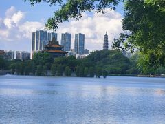 -顺峰山公园