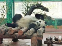 -广州动物园
