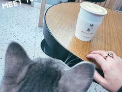 -叁秋咖啡 SANQIU COFFEE(天津河北路店)