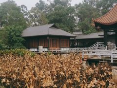 -巴山·烤全羊(高新总店)