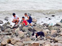 -宝安西湾红树林湿地公园