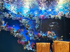 -宏宴·新京菜(望京店)