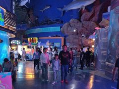 -烟台海昌鲸鲨海洋公园