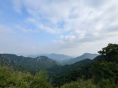 -大岭沟猕猴桃谷风景区