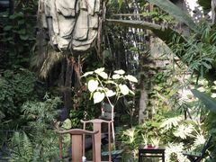 -The Flowers Coffee(南山店)
