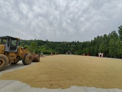 -渭南桃花源民俗文化园