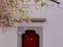 -深圳国际园林花卉博览园