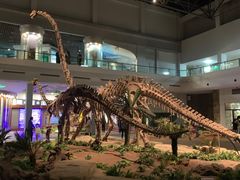 -自贡恐龙博物馆