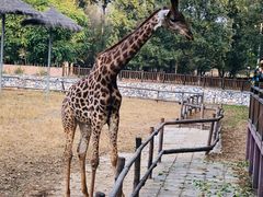 -北京野生动物园