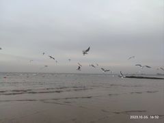 -老虎石海上公园