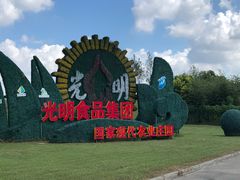 -上海都市菜园
