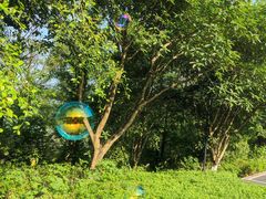 -乡村基(北部新区重科院餐厅)