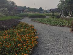 -映月湖公园