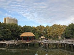 -江湾体育中心游泳馆