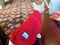 -上海闵行星河湾酒店