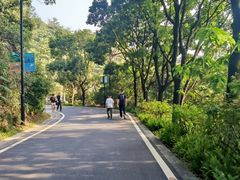 -广州市白云山风景名胜区