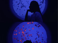 -江和美海洋公园