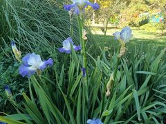 -北京植物园南门售票处