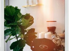 -red donkey coffee