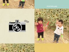 -金卉庄园