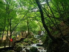 -本溪汤沟绿石谷森林公园