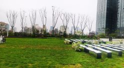 -成都世外桃源酒店-宴会厅·草坪婚礼·会议活动