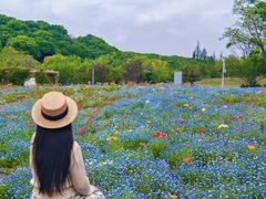 -苏州上方山国家森林公园