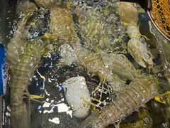 -揭阳钟记小食(福田新村店)
