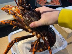 -达摩君日本料理(泰海花园小区店)