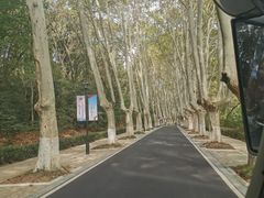 -灵谷景区