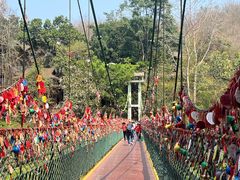 -西双版纳原始森林公园