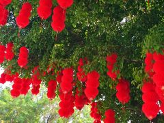 -人民公园(罗湖区)