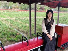 -丹樱生态园