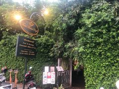-Fern Forest Cafe