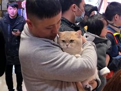 -天虹购物中心(石路店)