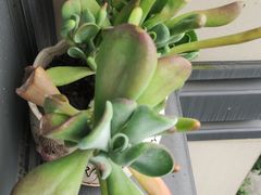 -北京前门建国饭店