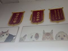 -爱侣宠医·鹦鹉专科·小型哺乳类·异宠专科(灵石路店)