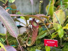 -上海辰山植物园
