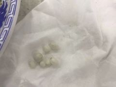 -赵氏老北京涮羊肉羊蝎子(蓝村店)