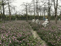 -广东花都香草世界旅游度假区
