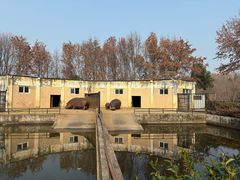 -合肥野生动物园