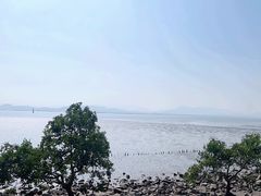 -深圳湾公园(南山区)