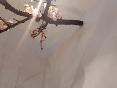 -蜜桃餐厅·伴山(绿宝广场店)