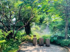 -Chom Cafe and Restaurant